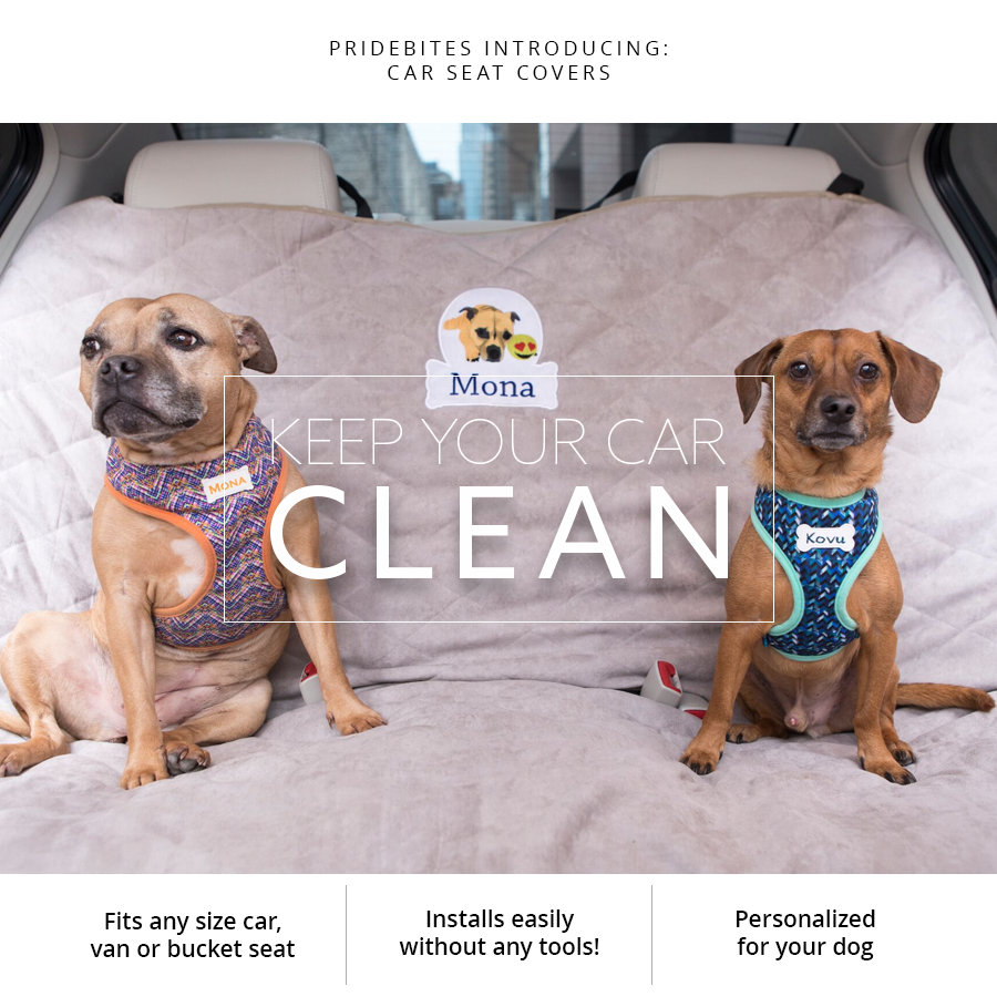 Introducing Personalized Dog Car Seat Covers! PrideBites