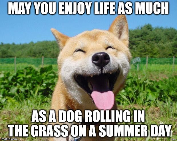 The dog days of summer aren't over yet! - PrideBites