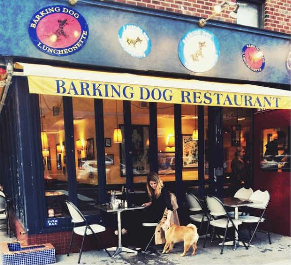 Top Pet Friendly Restaurants: New York City - PrideBites